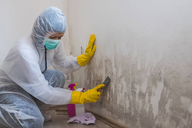 Best Residential Mold Removal  in Nyssa, OR