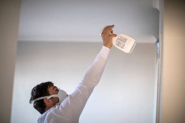 Best Home Mold Removal  in Nyssa, OR