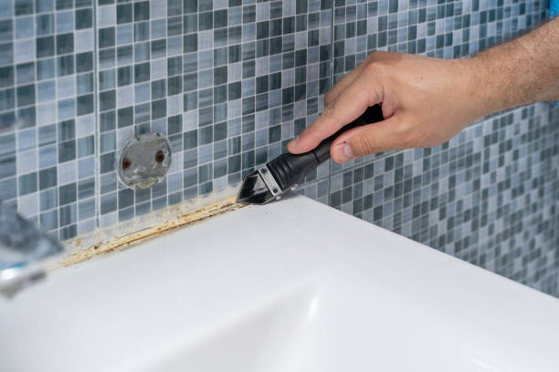 Best Fast Mold Removal  in Nyssa, OR