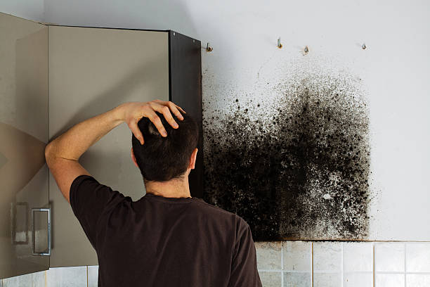 Best Crawl Space Mold Removal  in Nyssa, OR
